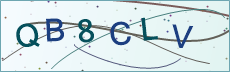 Security verification code